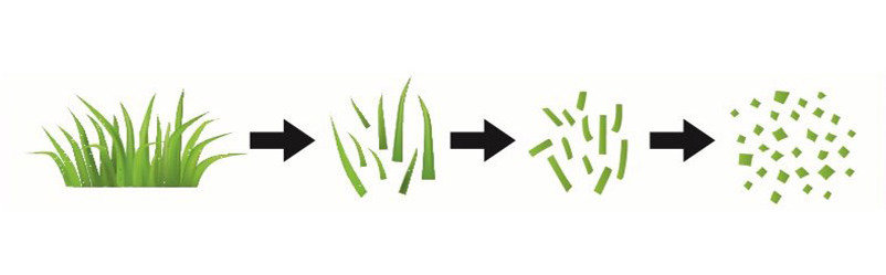Image-mulch-illustration.jpg